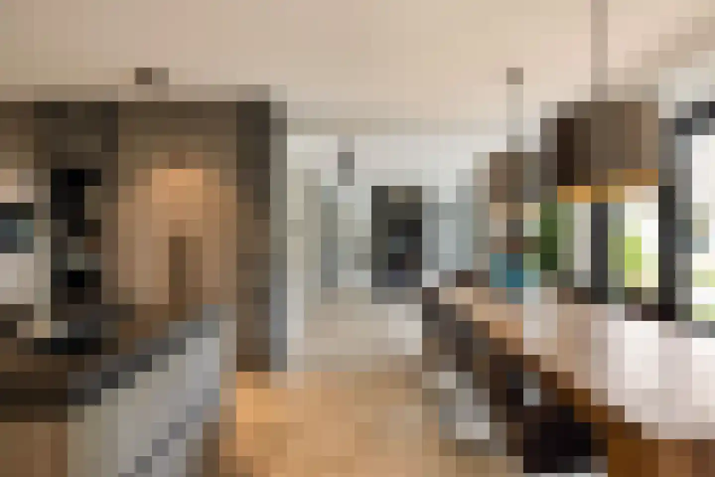 Dorpsstraat 55 Soerendonk thumbnail 19
