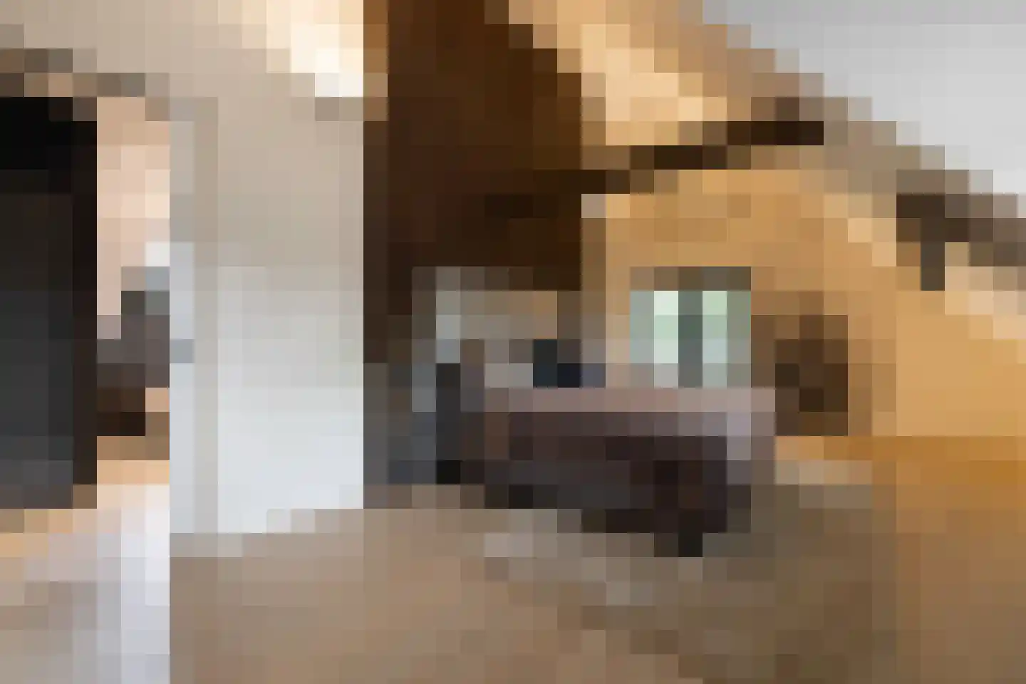 Dorpsstraat 55 Soerendonk thumbnail 23