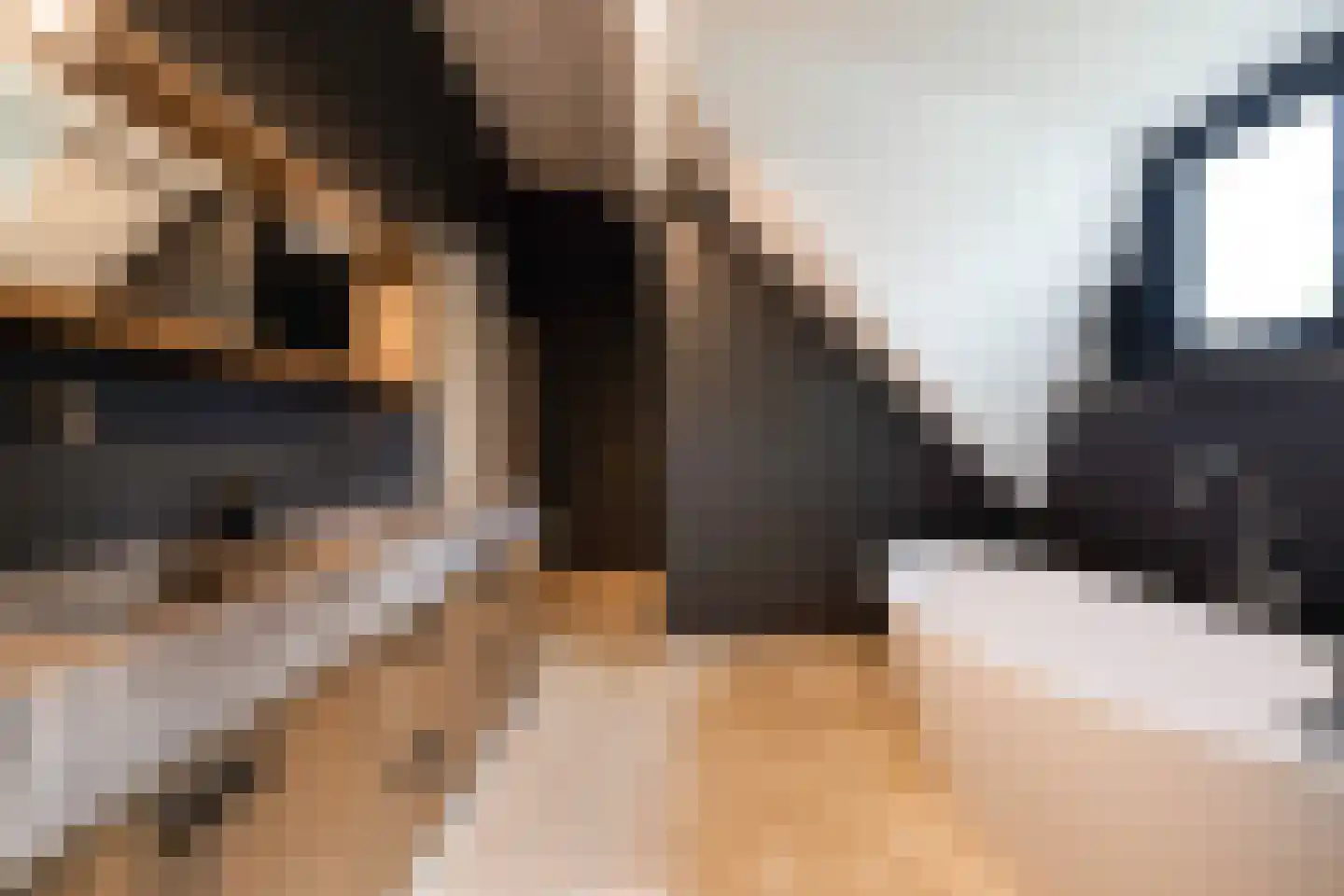 Dorpsstraat 55 Soerendonk thumbnail 24