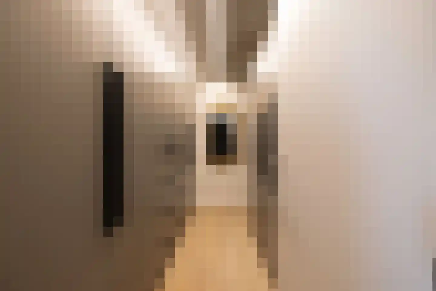 Dorpsstraat 55 Soerendonk thumbnail 25