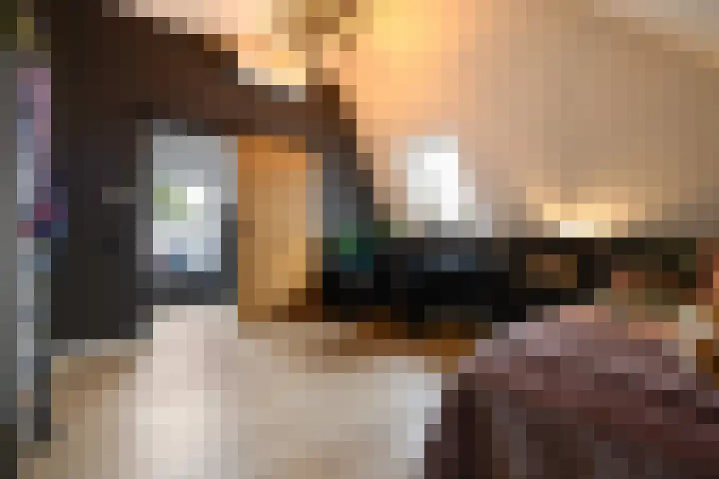 Dorpsstraat 55 Soerendonk thumbnail 28