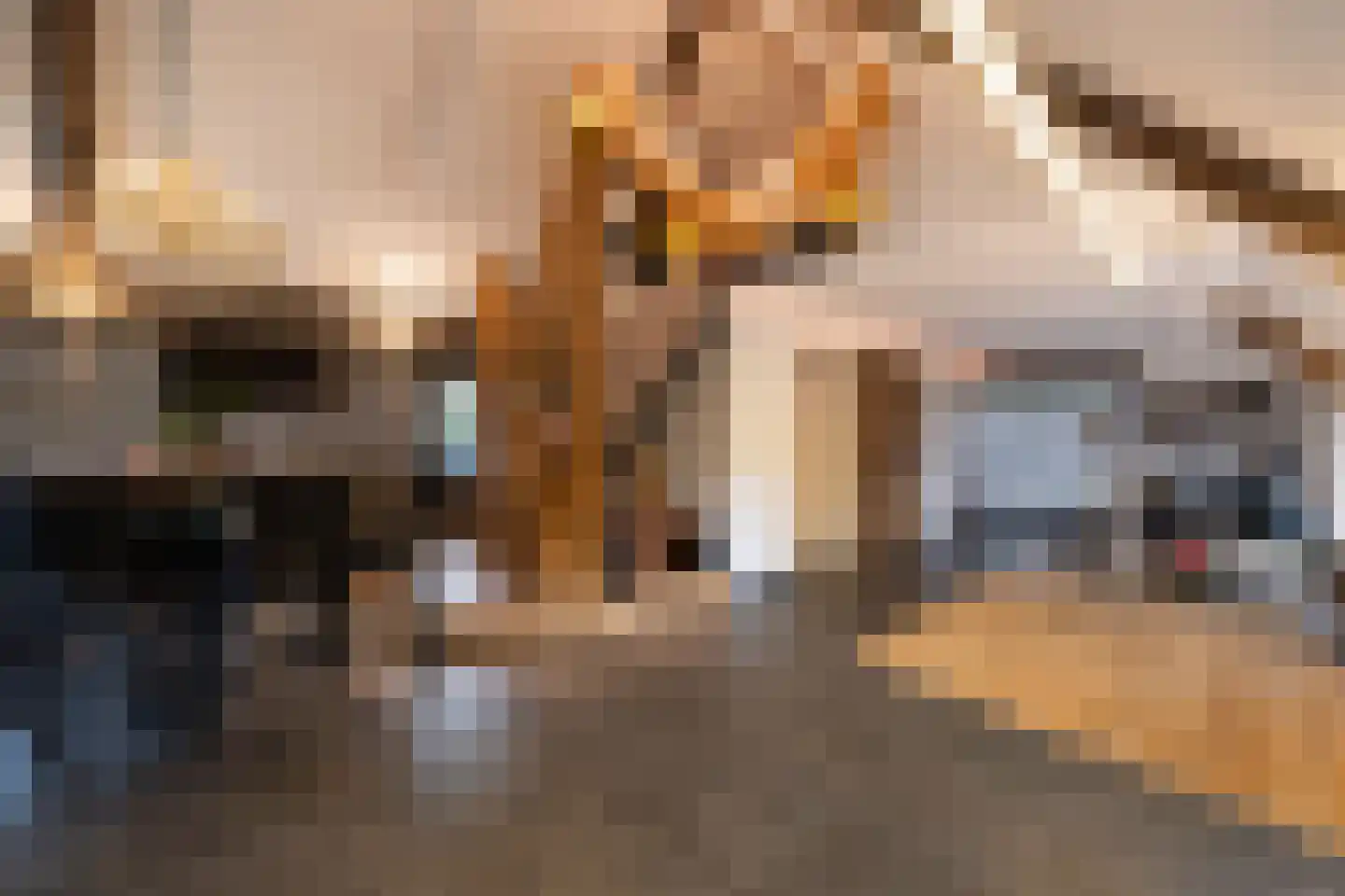 Dorpsstraat 55 Soerendonk thumbnail 30