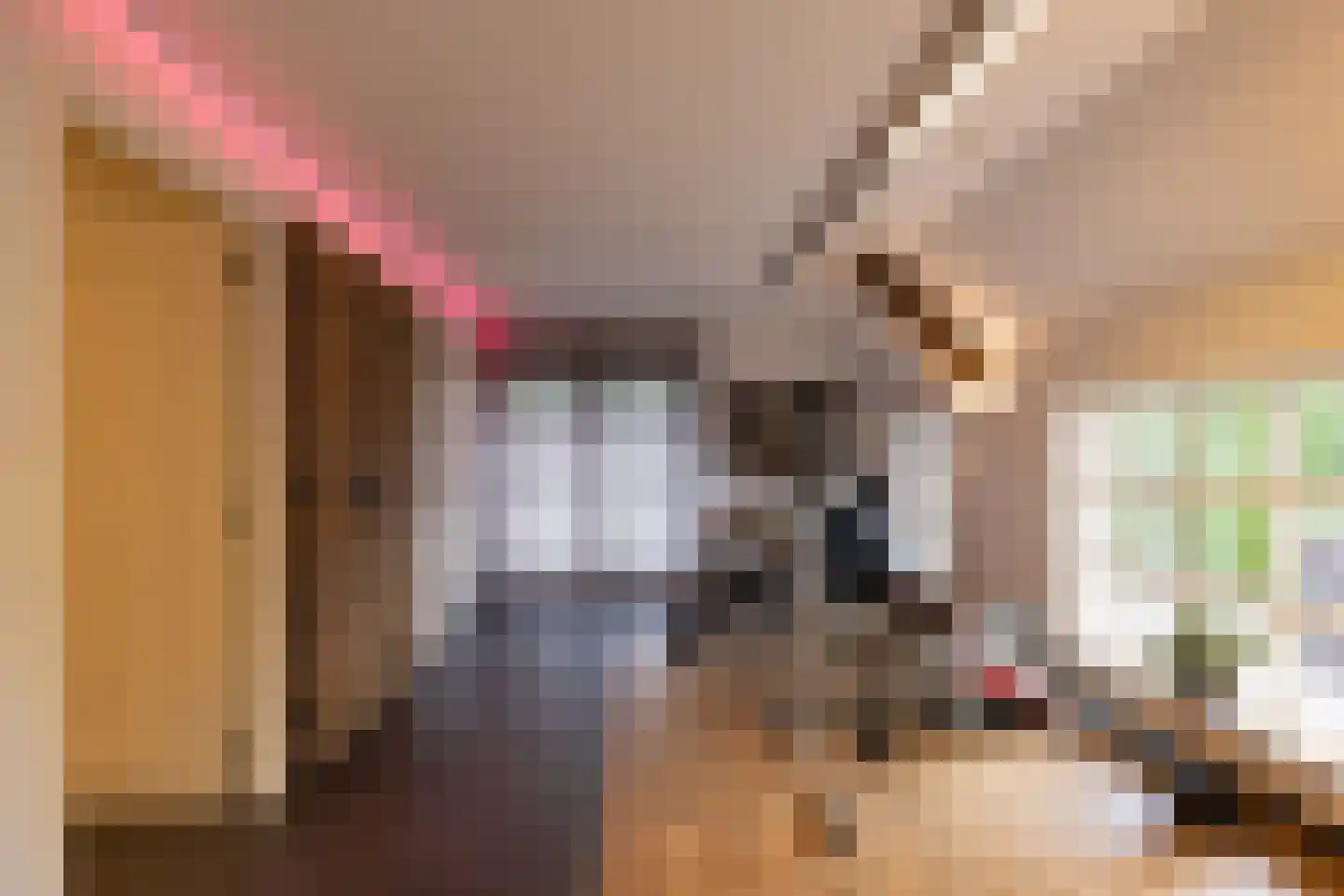 Dorpsstraat 55 Soerendonk thumbnail 31