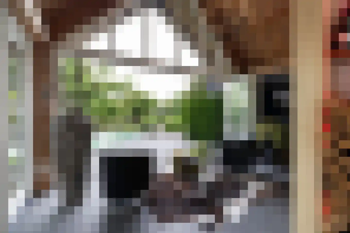 Dorpsstraat 55 Soerendonk thumbnail 32