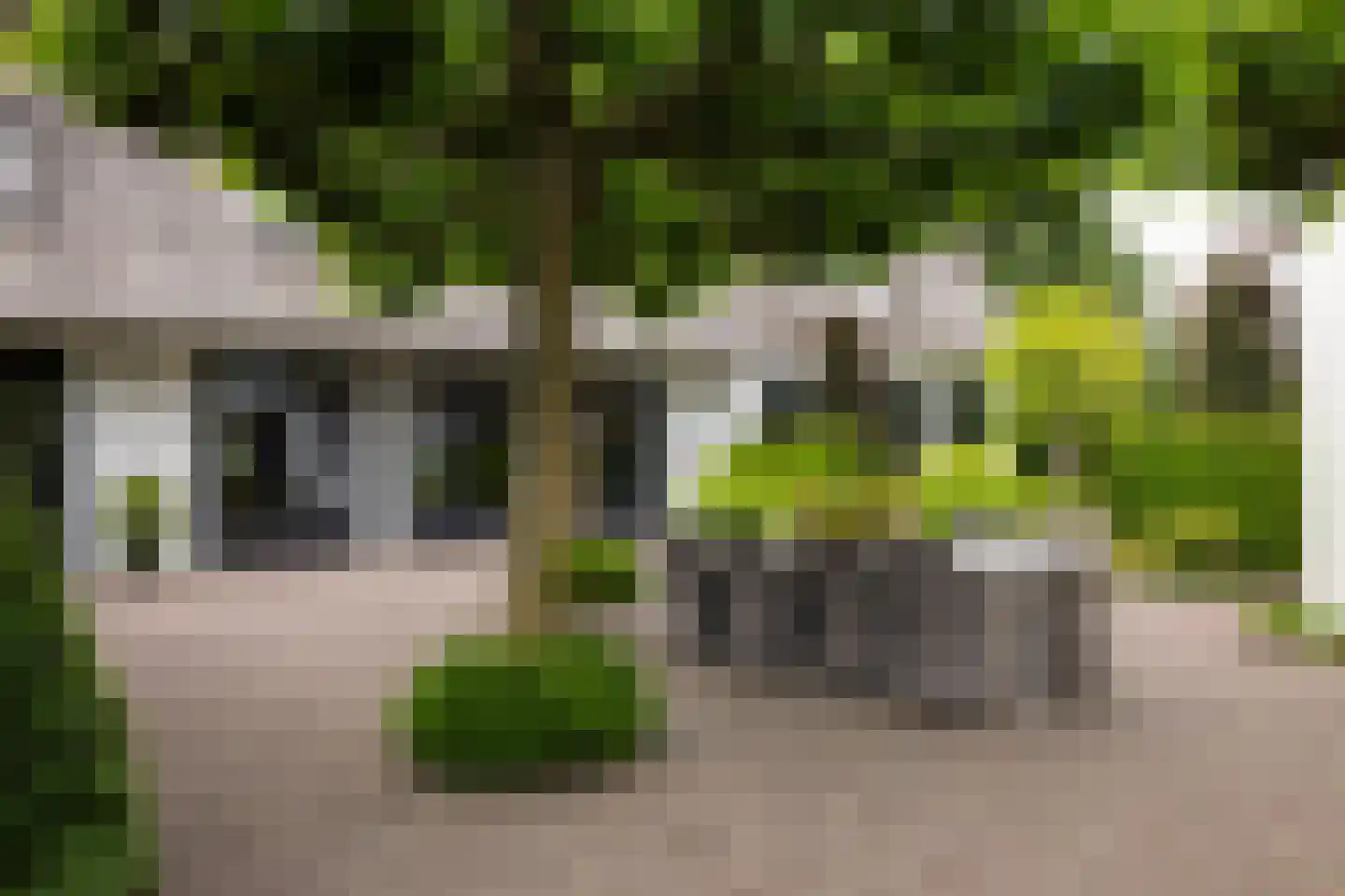 Dorpsstraat 55 Soerendonk thumbnail 35