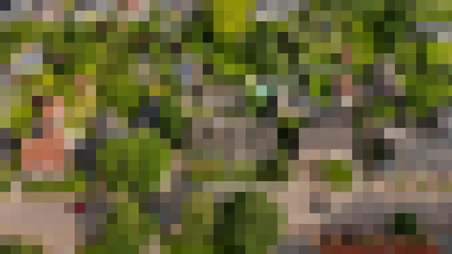 Dorpsstraat 55 Soerendonk thumbnail 38