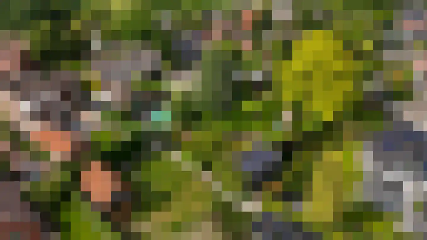 Dorpsstraat 55 Soerendonk thumbnail 39