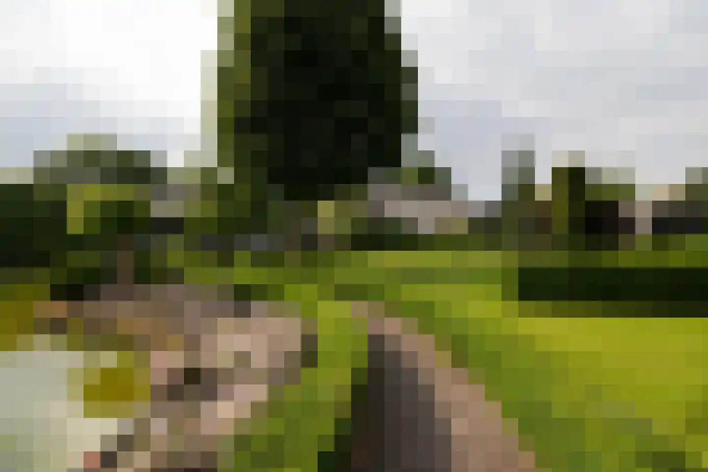 Dorpsstraat 55 Soerendonk thumbnail 42