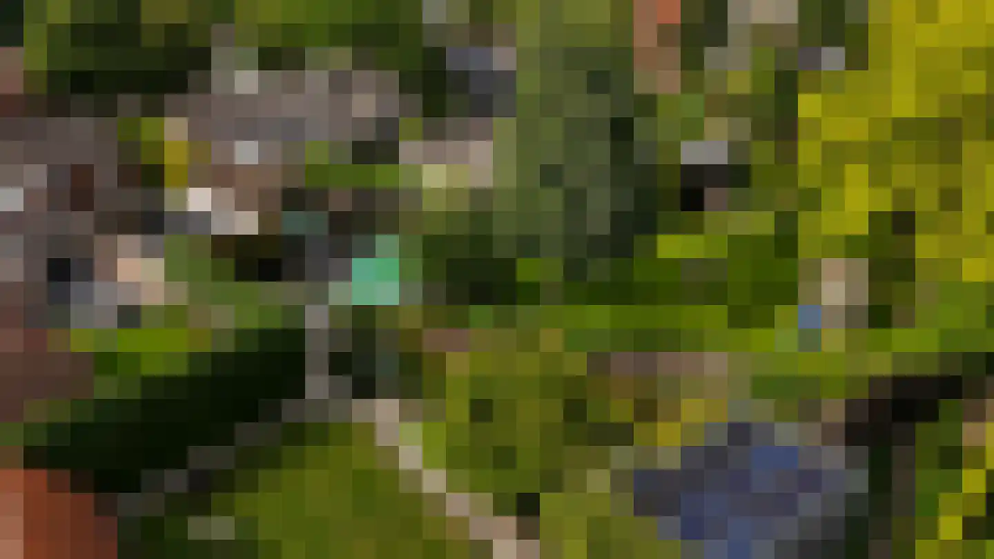 Dorpsstraat 55 Soerendonk thumbnail 43