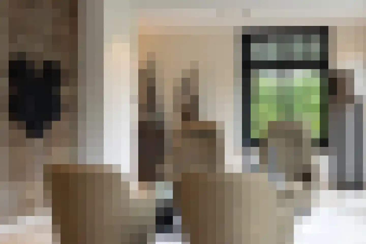 Dorpsstraat 55 Soerendonk thumbnail 9