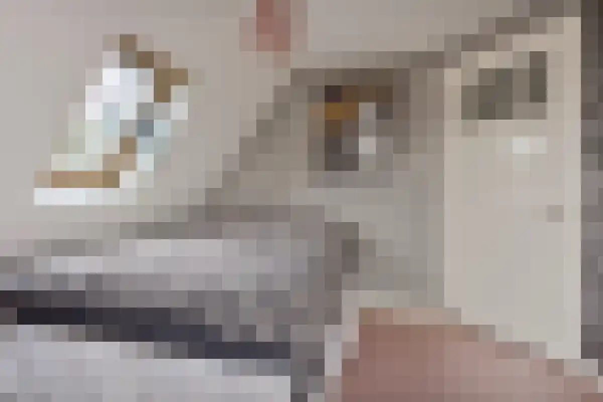 Dorpsstraat 55 Zwaag thumbnail 19