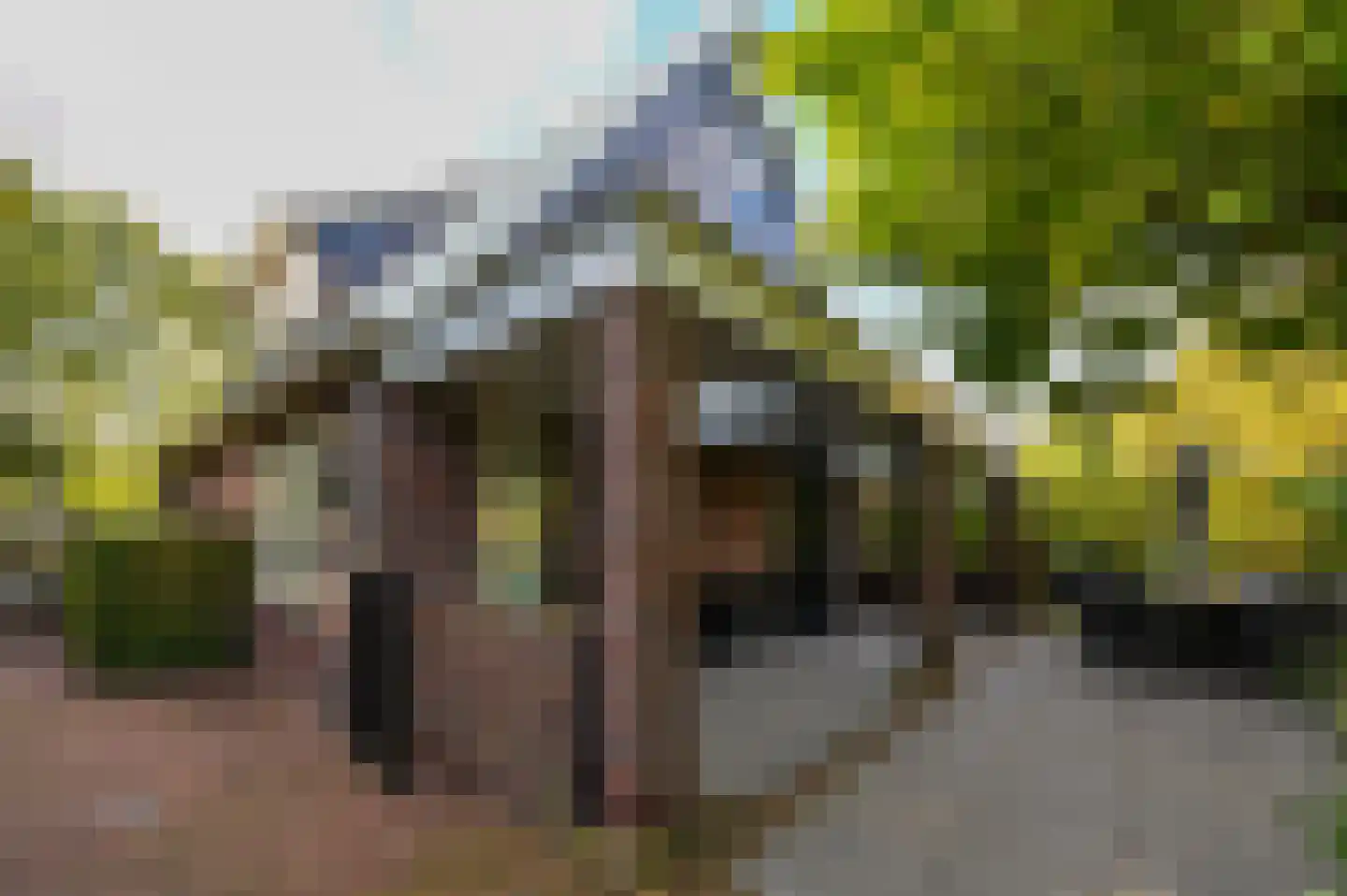 Dorpsstraat 55 Zwaag thumbnail 27