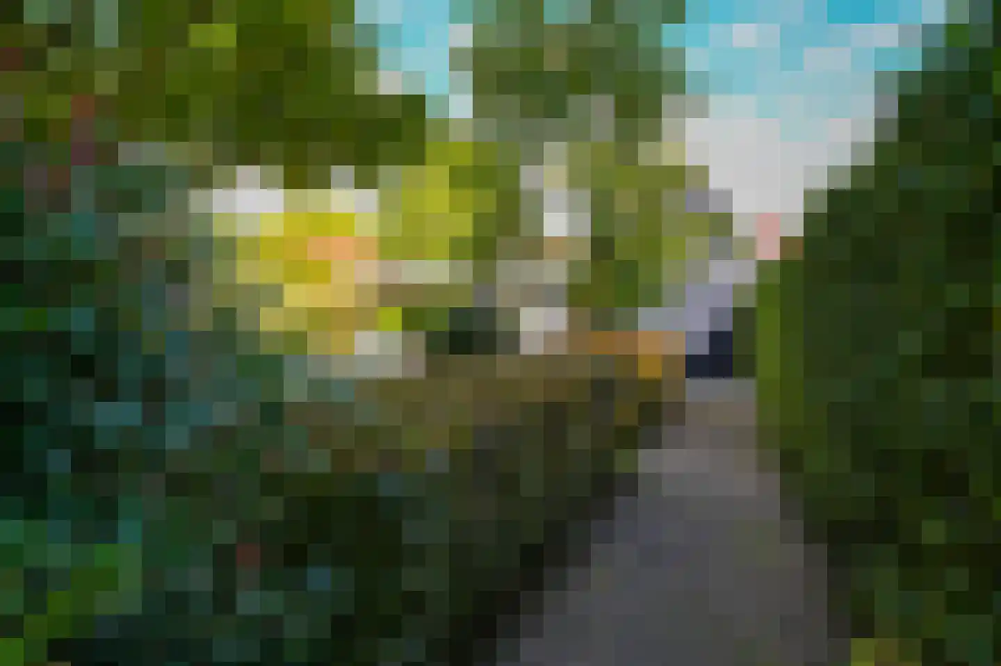 Dorpsstraat 55 Zwaag thumbnail 34