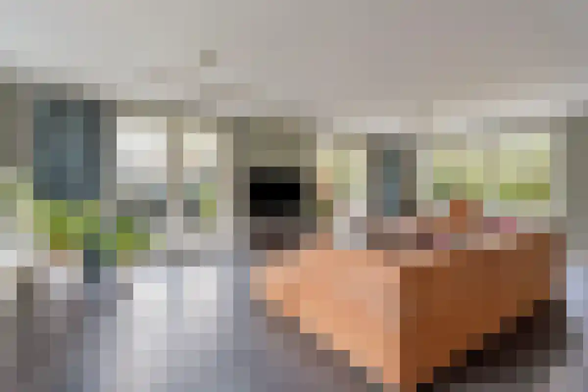 Dorpsstraat 55 Zwaag thumbnail 9