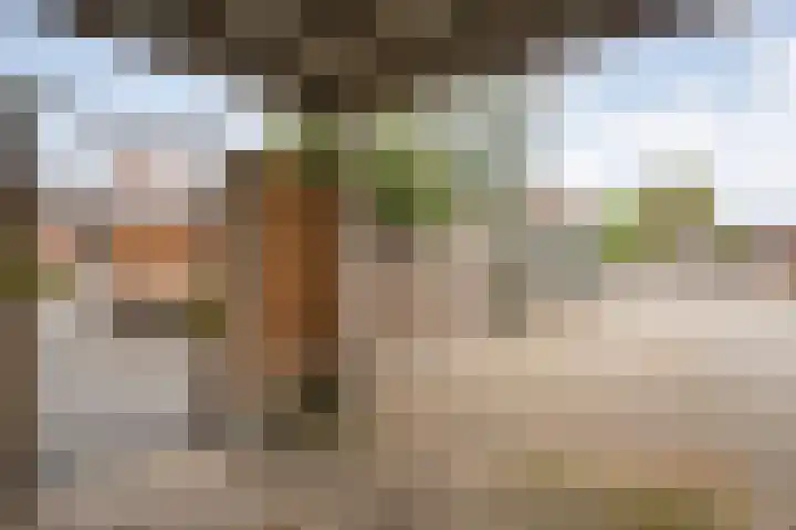 Dorpsstraat 56 a Hellendoorn thumbnail 35