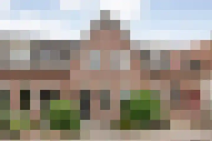 Dorpsstraat 56 a Hellendoorn thumbnail 5