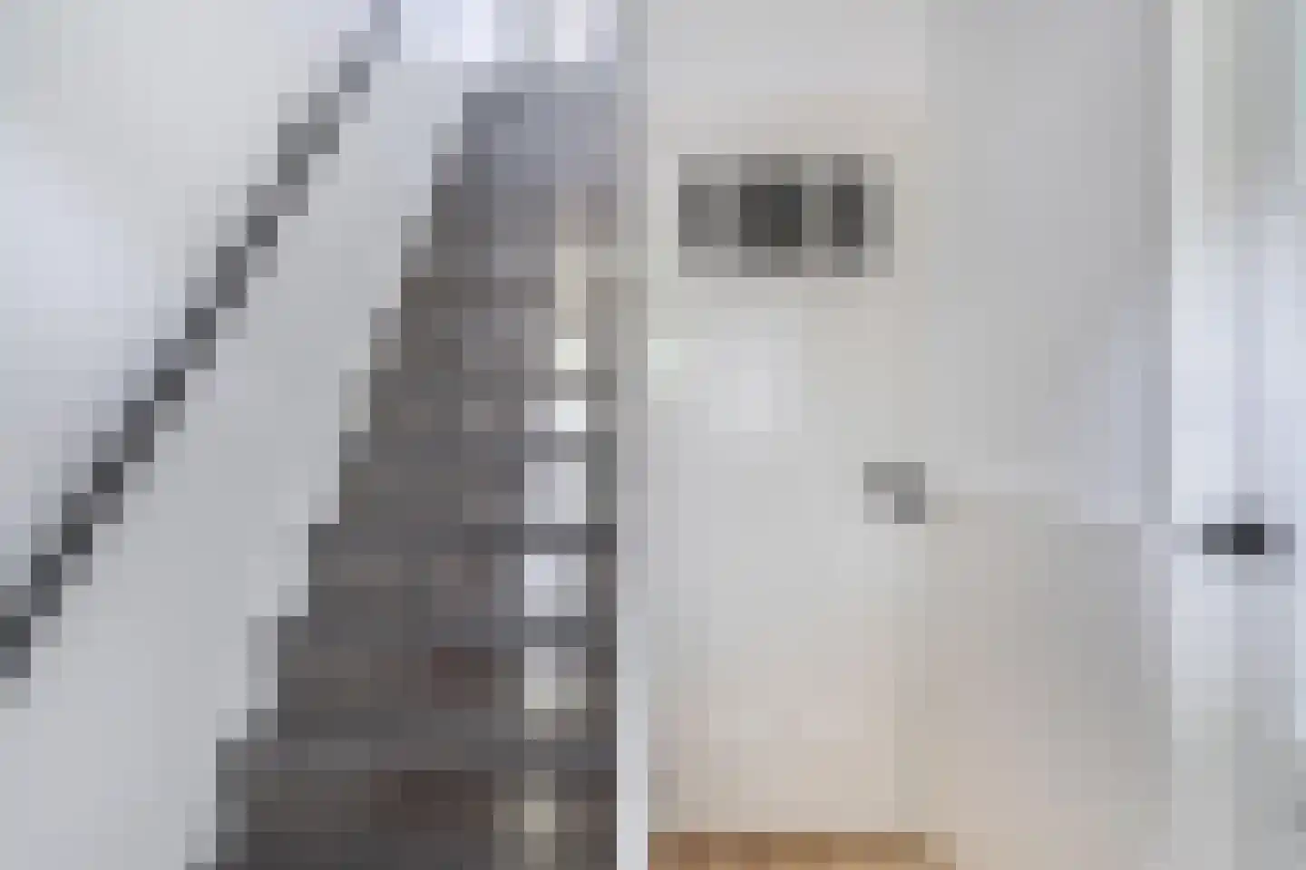 Dorpsstraat 56 Assendelft thumbnail 13