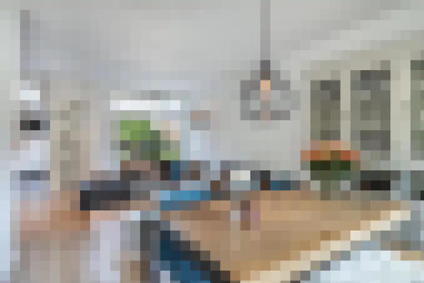Dorpsstraat 56 Assendelft thumbnail 16