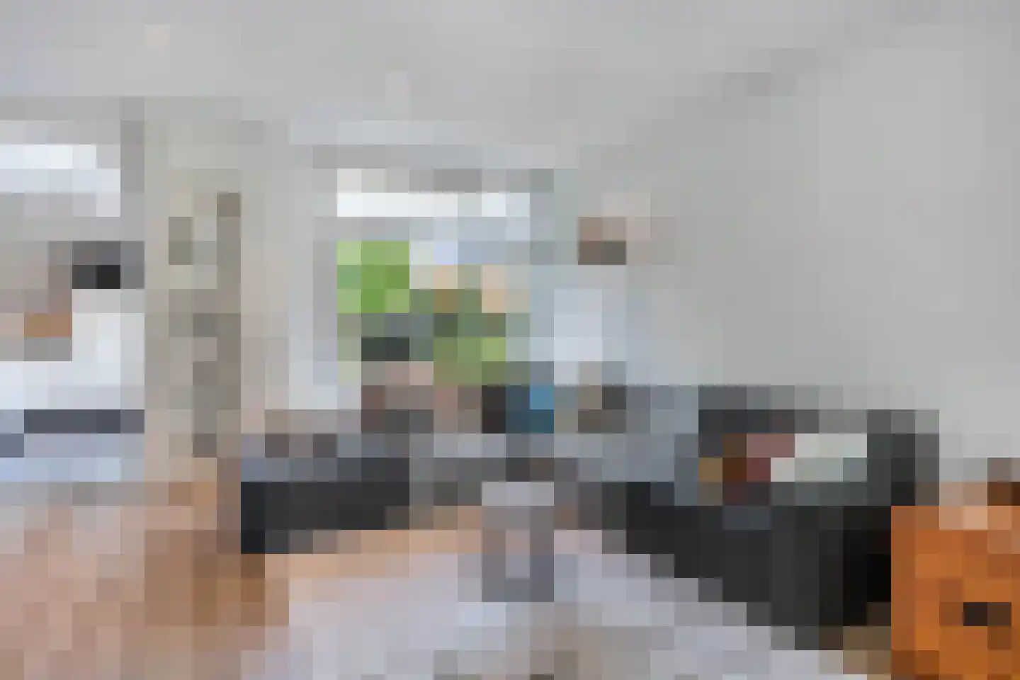 Dorpsstraat 56 Assendelft thumbnail 18