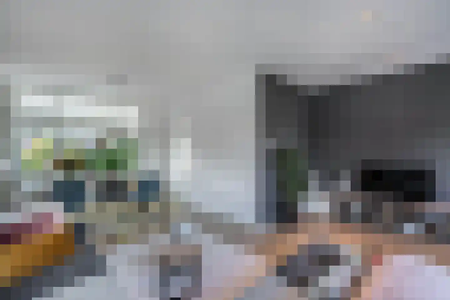 Dorpsstraat 56 Assendelft thumbnail 21