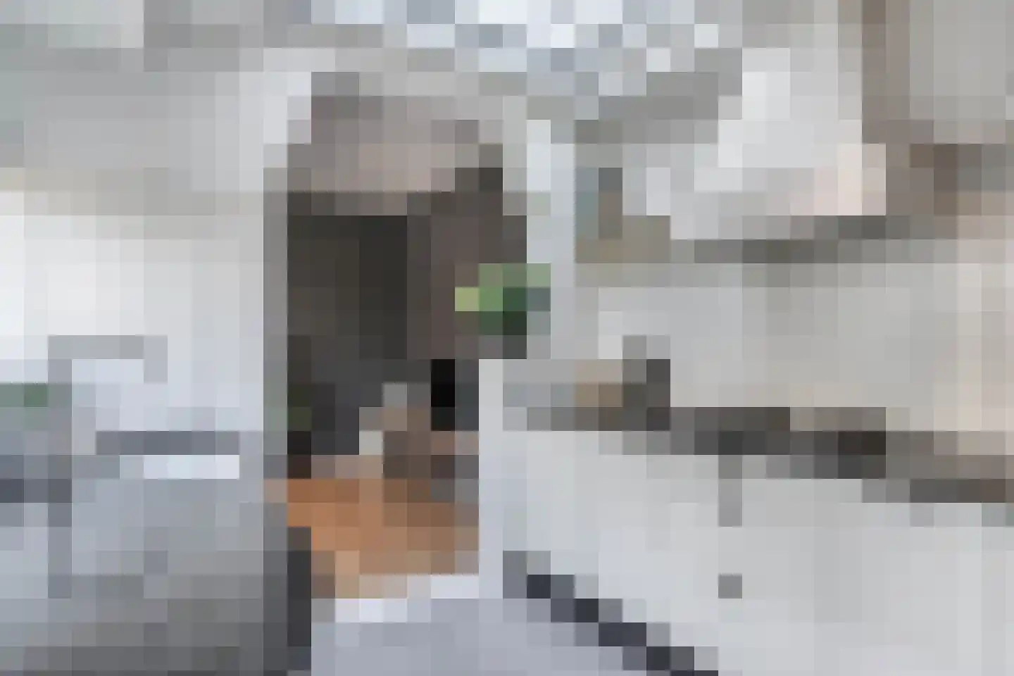 Dorpsstraat 56 Assendelft thumbnail 24