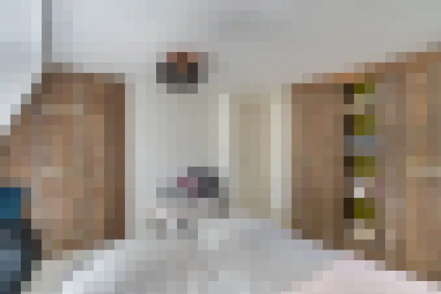 Dorpsstraat 56 Assendelft thumbnail 30