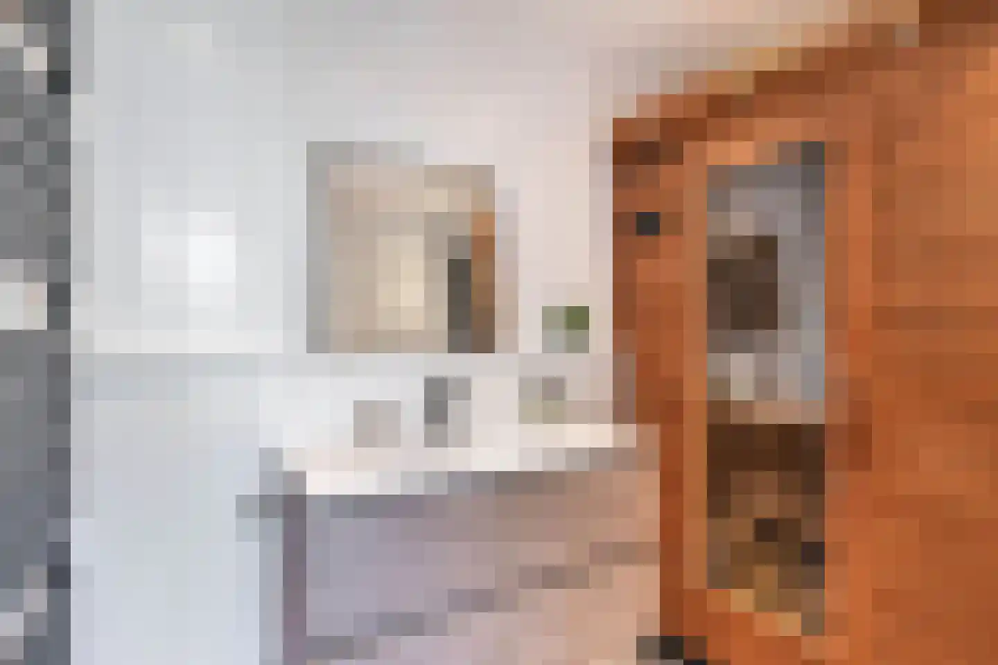 Dorpsstraat 56 Assendelft thumbnail 34