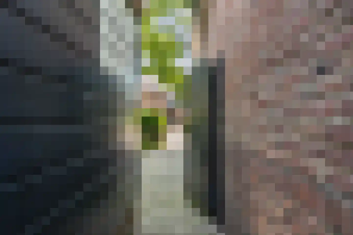Dorpsstraat 56 Assendelft thumbnail 36