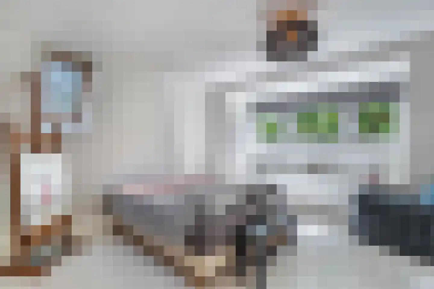 Dorpsstraat 56 Assendelft thumbnail 4