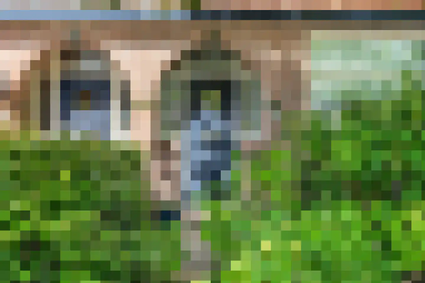 Dorpsstraat 56 Assendelft thumbnail 7