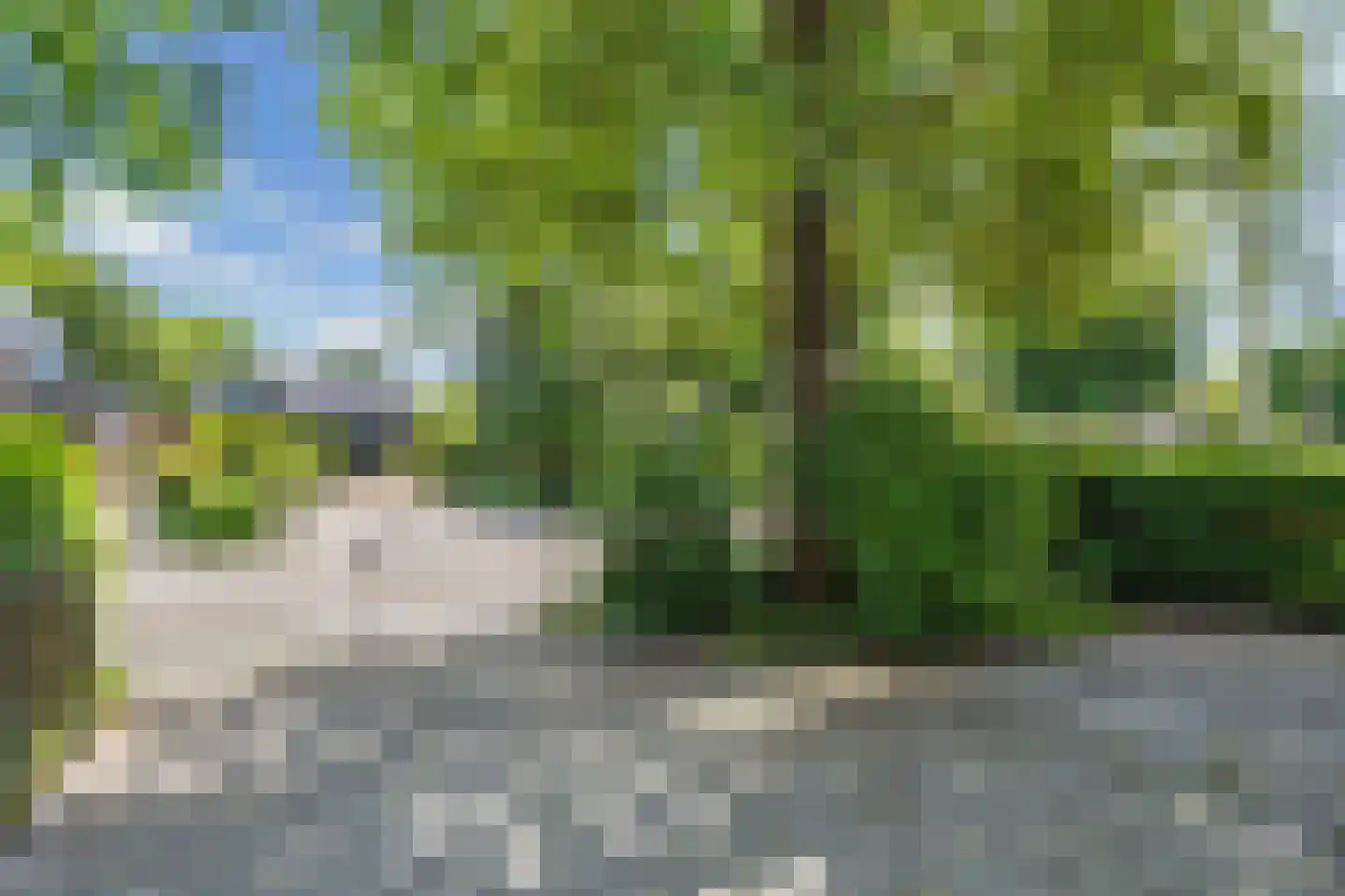 Dorpsstraat 56 Assendelft thumbnail 9