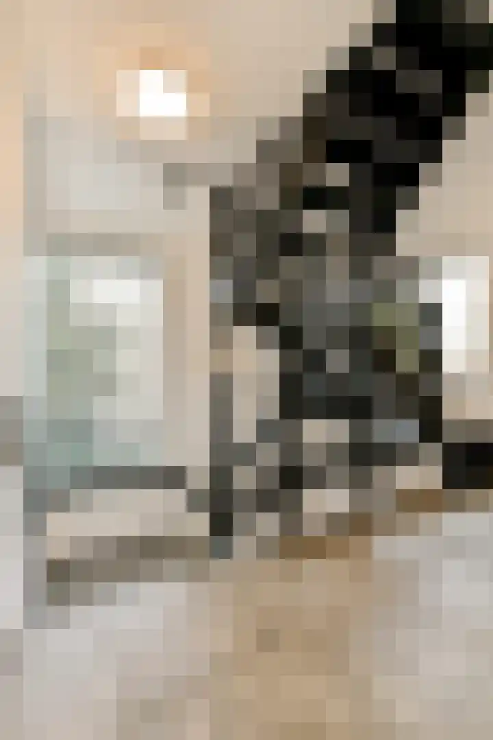 Dorpsstraat 56 D Landsmeer thumbnail 8