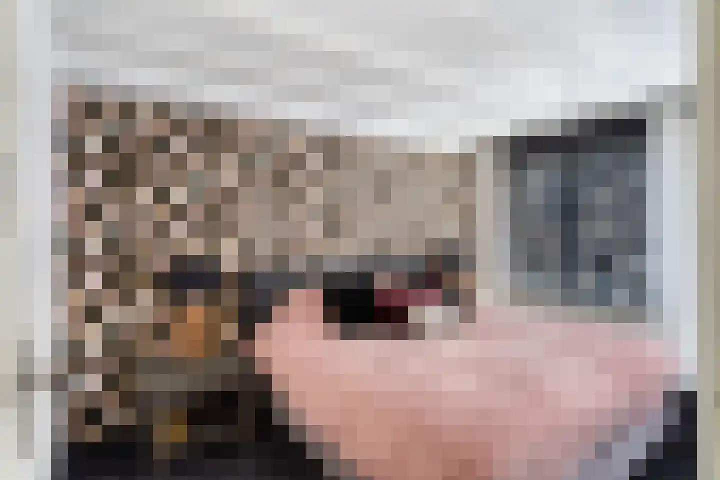 Dorpsstraat 56 Gouderak thumbnail 15