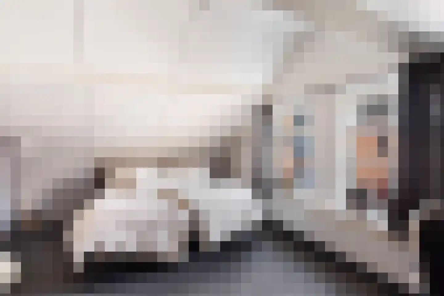 Dorpsstraat 56 Gouderak thumbnail 18