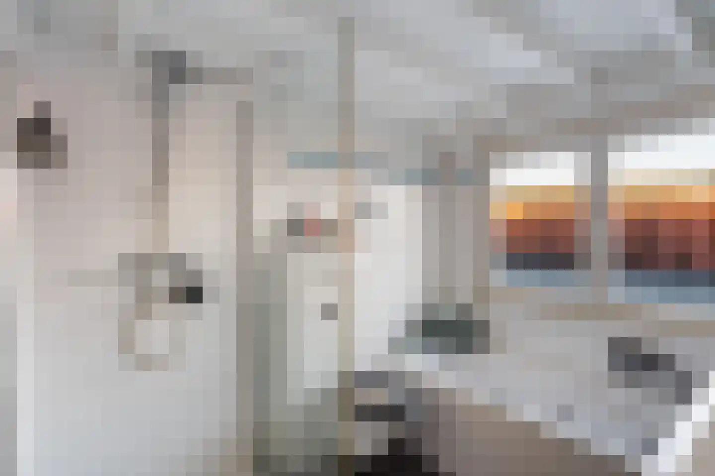 Dorpsstraat 56 Gouderak thumbnail 21