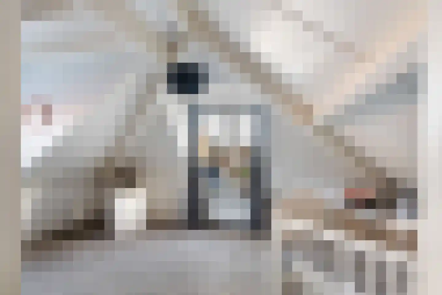 Dorpsstraat 56 Gouderak thumbnail 23