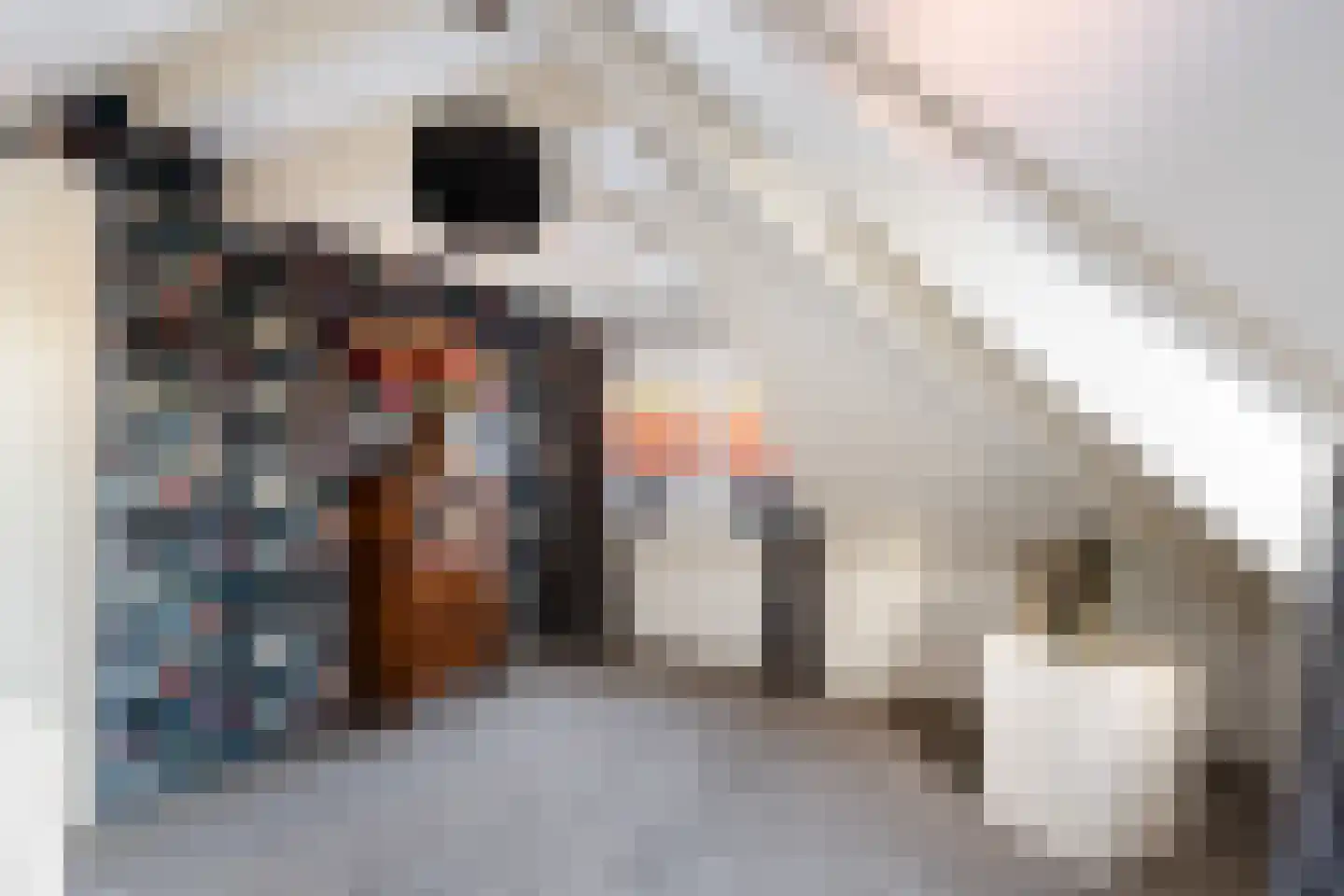 Dorpsstraat 56 Gouderak thumbnail 25
