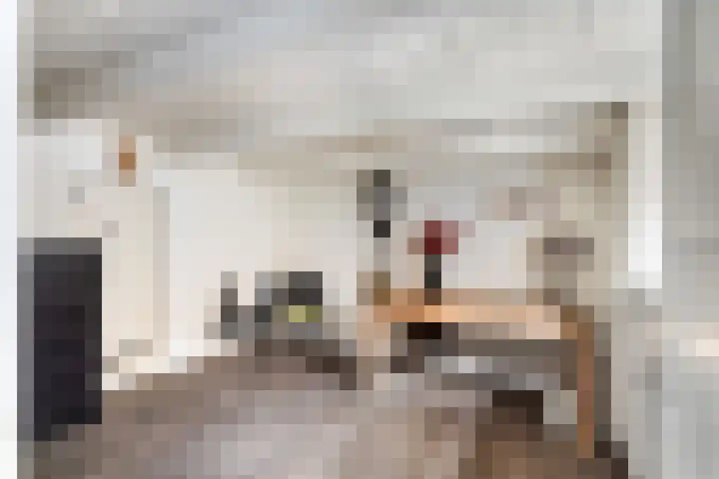 Dorpsstraat 56 Gouderak thumbnail 27
