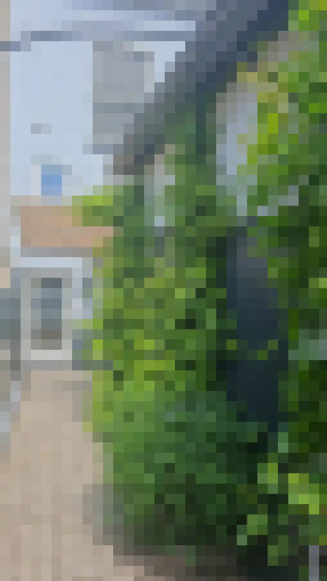 Dorpsstraat 56 Gouderak thumbnail 33