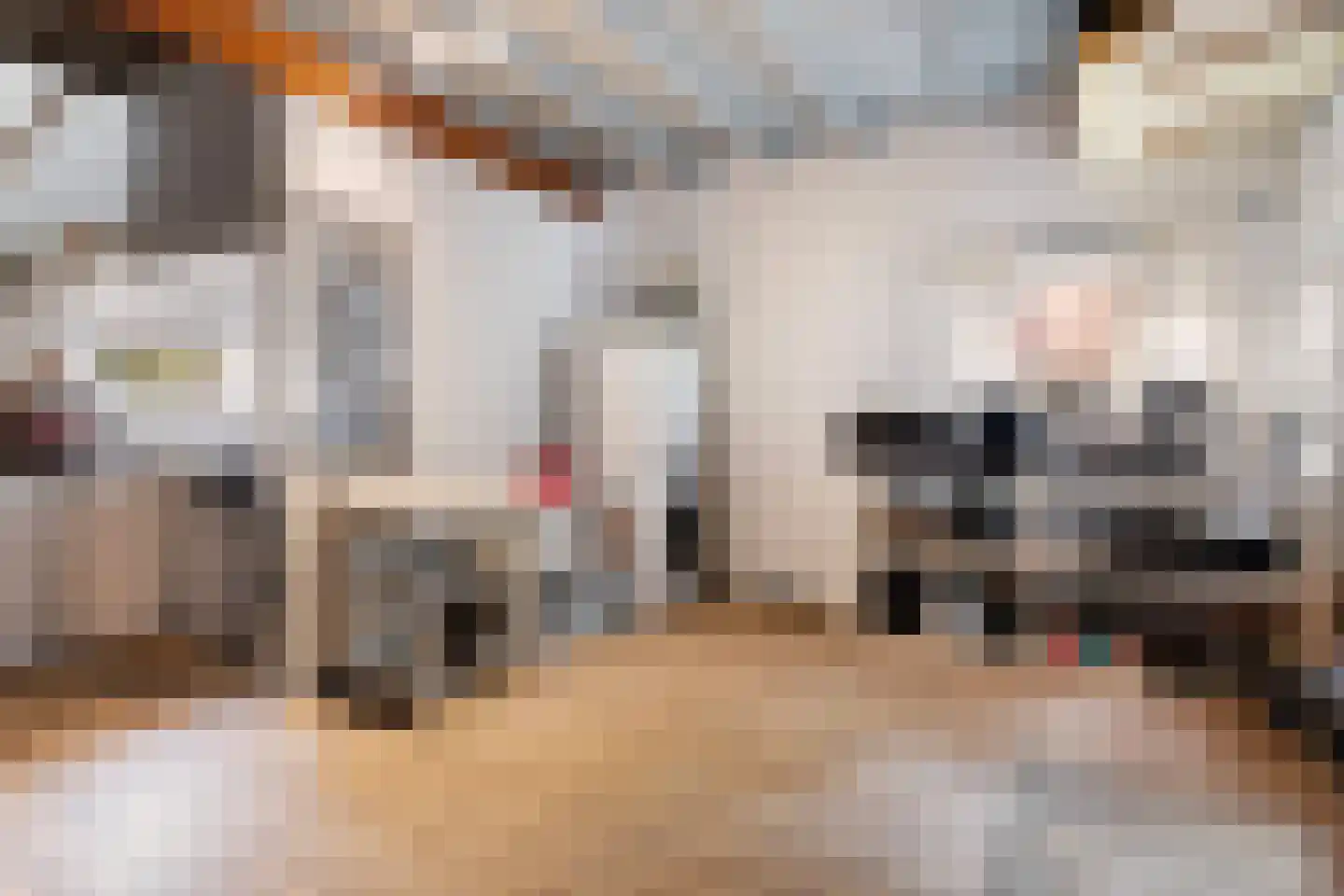 Dorpsstraat 56 Gouderak thumbnail 35