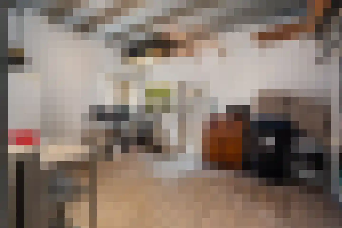 Dorpsstraat 56 Gouderak thumbnail 36