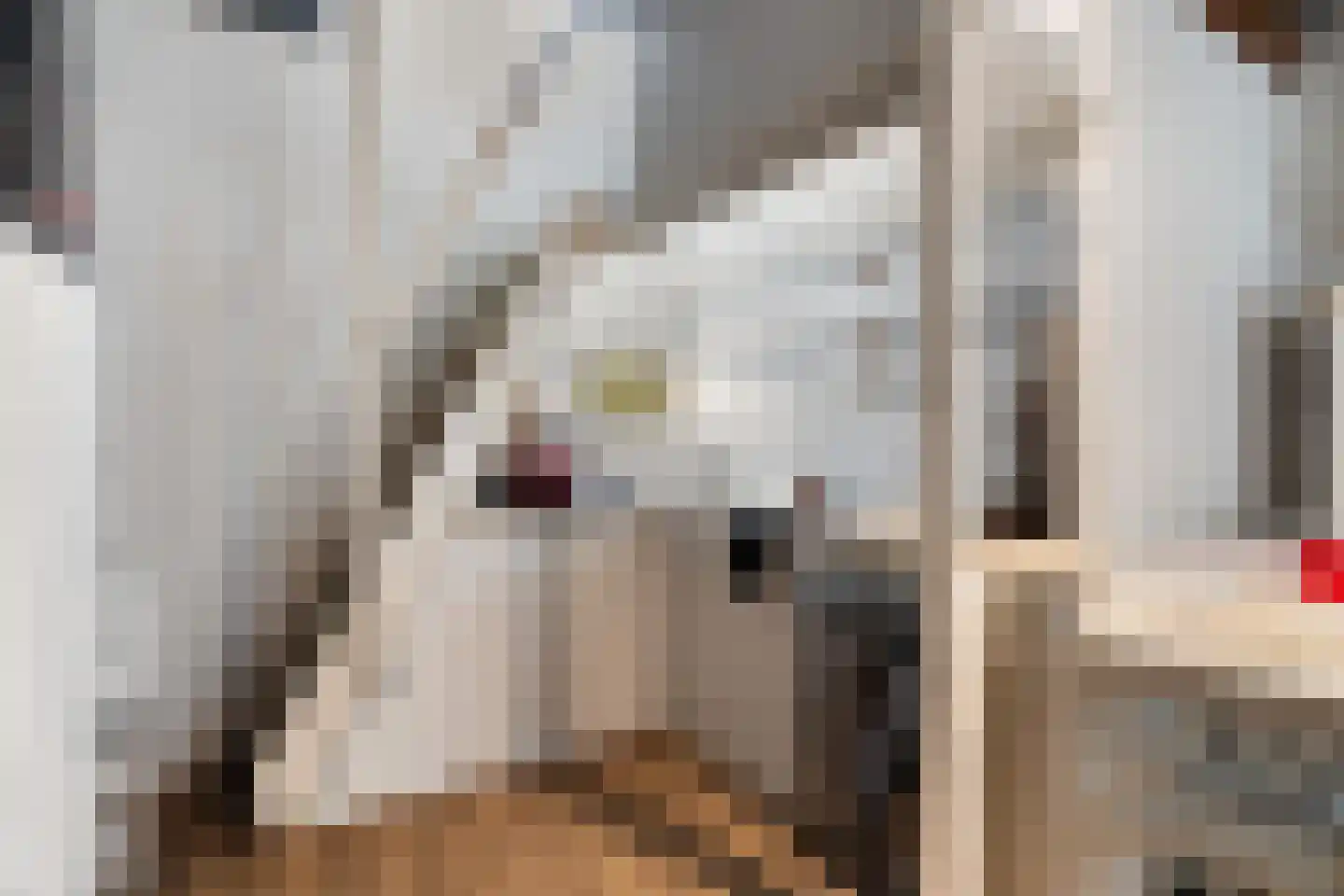 Dorpsstraat 56 Gouderak thumbnail 37