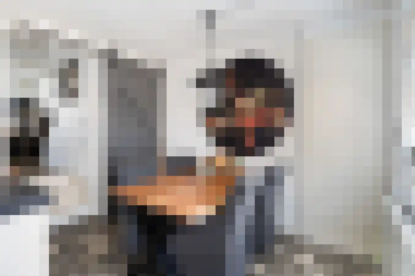 Dorpsstraat 56 Gouderak thumbnail 7