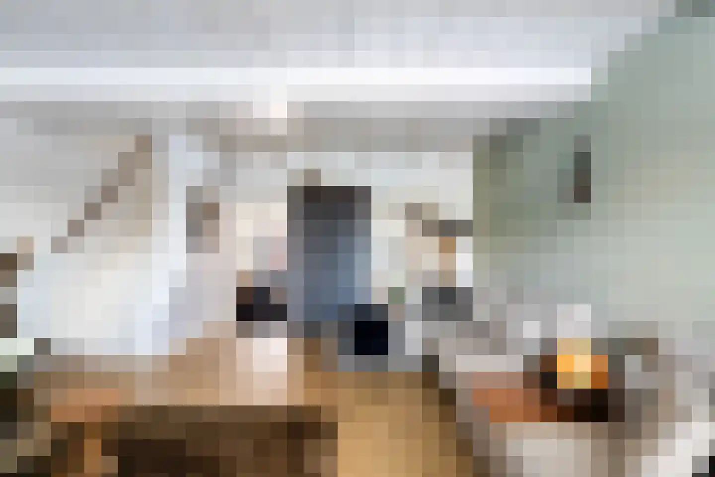 Dorpsstraat 56 Gouderak thumbnail 8
