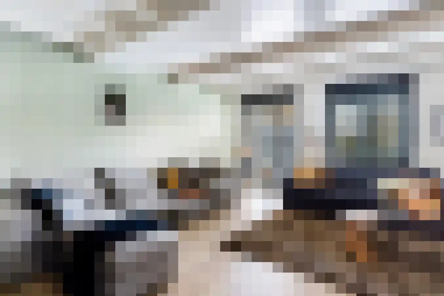 Dorpsstraat 56 Gouderak thumbnail 9