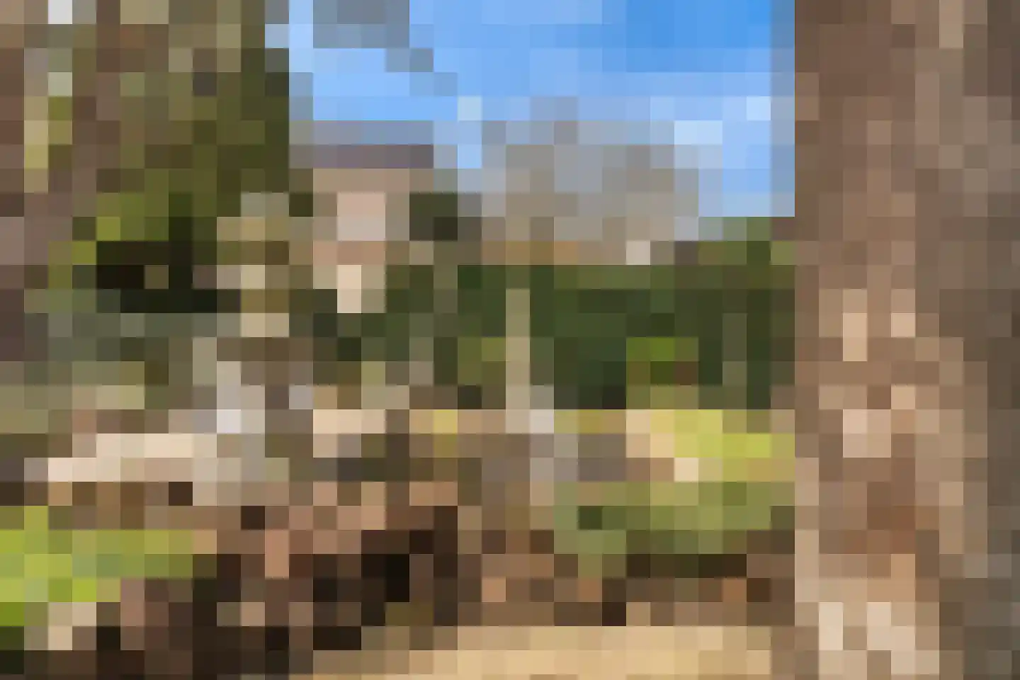 Dorpsstraat 56 Krimpen aan de Lek thumbnail 12