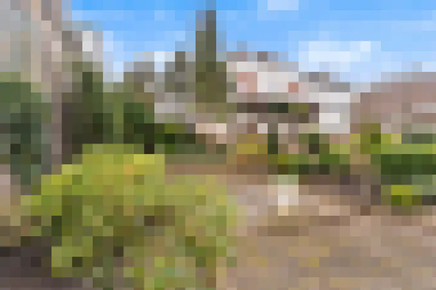 Dorpsstraat 56 Krimpen aan de Lek thumbnail 13