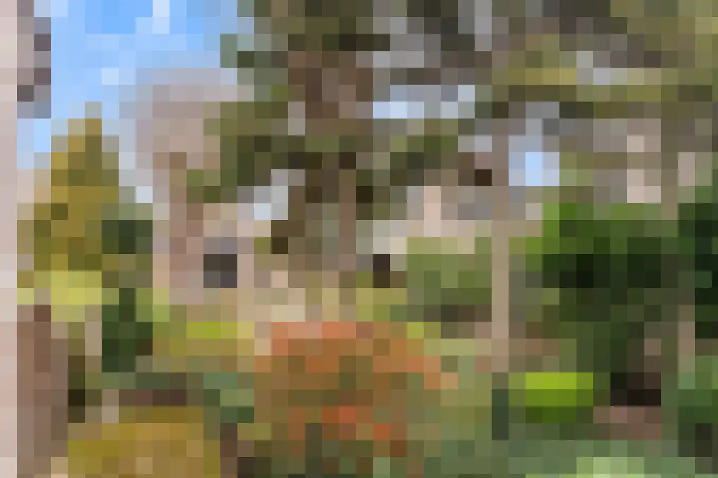 Dorpsstraat 56 Krimpen aan de Lek thumbnail 14