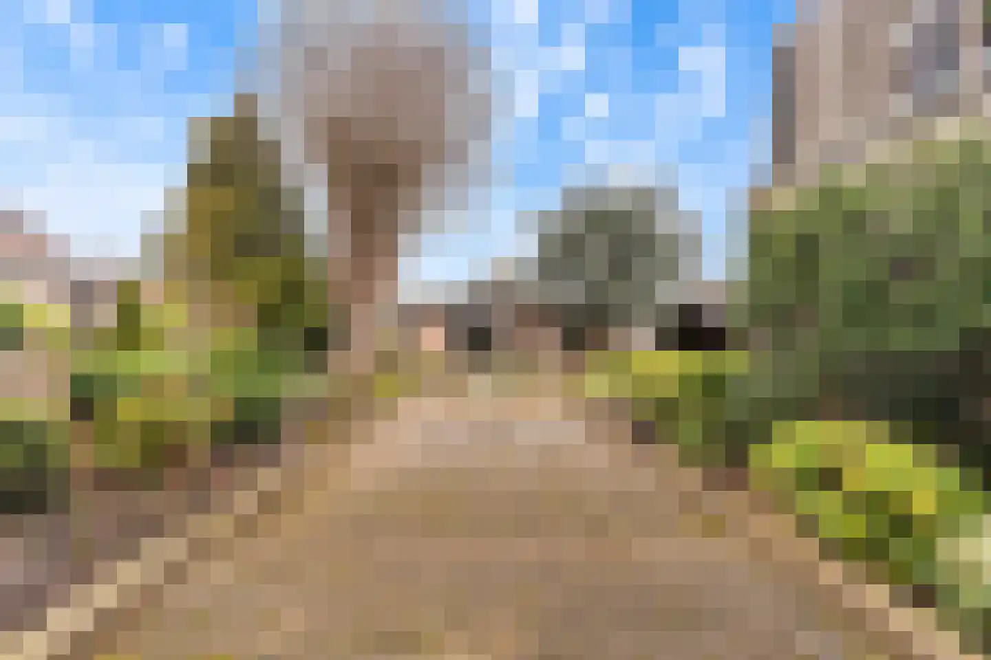 Dorpsstraat 56 Krimpen aan de Lek thumbnail 15