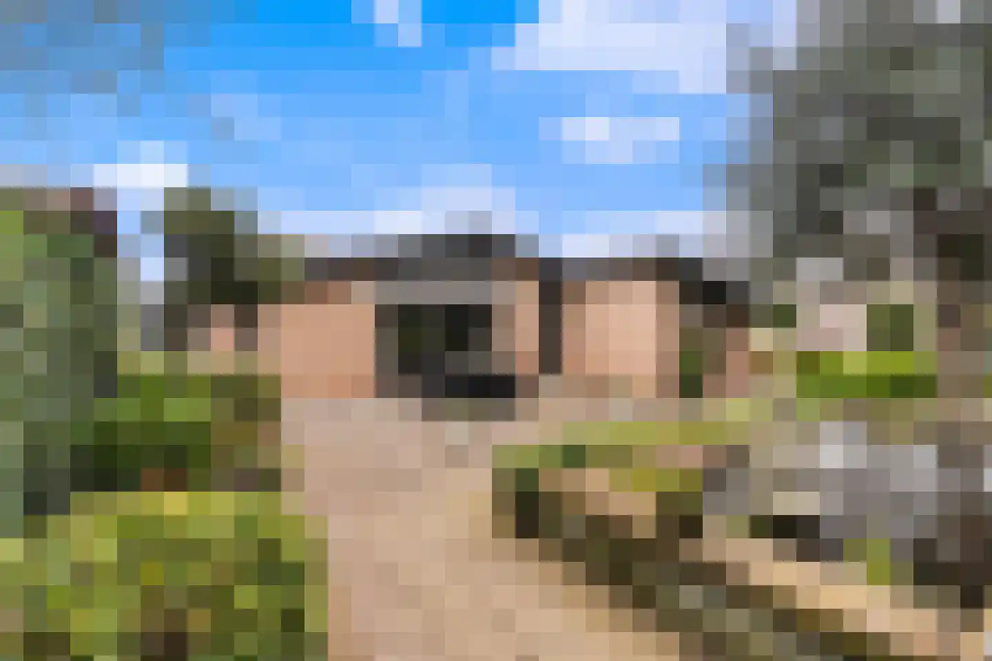 Dorpsstraat 56 Krimpen aan de Lek thumbnail 16
